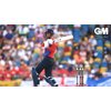 GM JAMES VINCE PLAYERS EDITION CRICKET BAT 2022