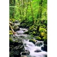 thumbnail image 2 of Taylor, Douglas 17x24 White Modern Wood Framed Museum Art Print Titled - Snowmelt, 2 of 4