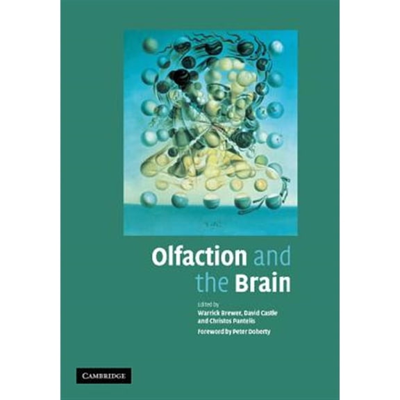 Pre-Owned Olfaction and the Brain, (Paperback)