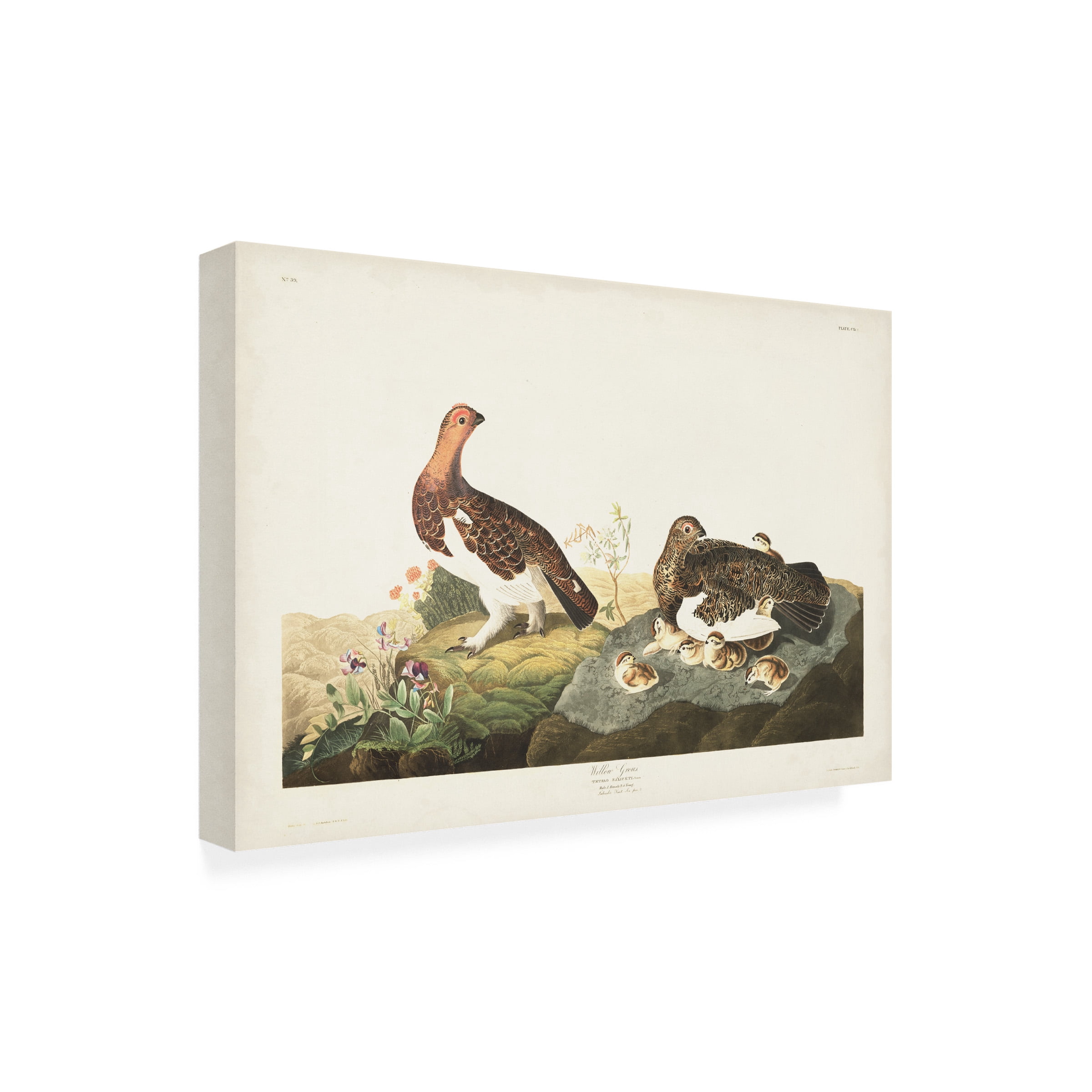 John James Audubon 'Willow Grouse' Canvas Art