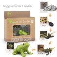 thumbnail image 1 of Animal Plant Insect Growth Simulation Cards Montessori Learning Toys For Kids Ages 3-6 Biological Science Teaching Aids, 1 of 10