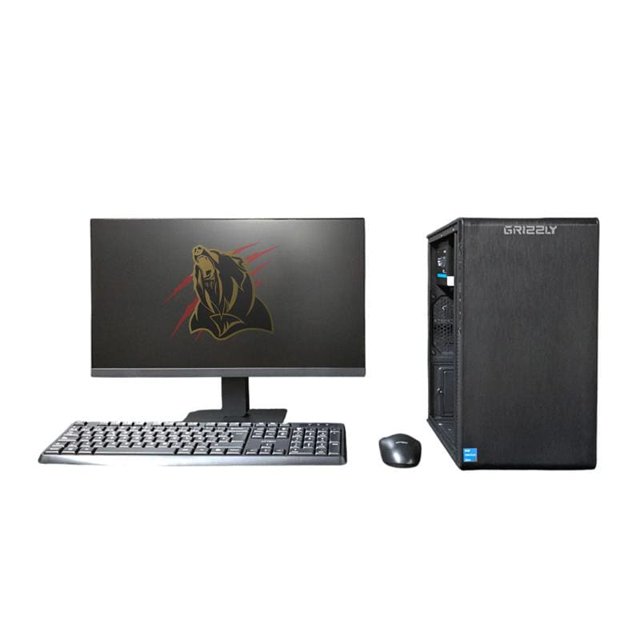 Pc Grizzly Intel Pentium Gold G6405 4.1ghz 16gb Ssd 480 Monitor 22'' Kit 2 En 1 Wifi Pg intel081