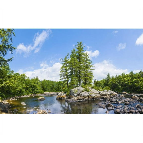 Biggies 80" Tree Window Well Scenes