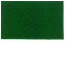 thumbnail image 1 of Imports Decor 909PP Synthetic Rectangular Shell Door, Green, 1 of 1