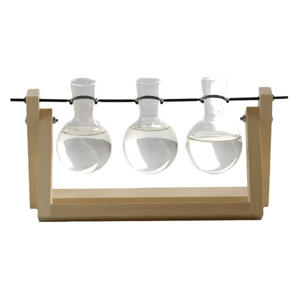 Terrario de plantas con florero de vidrio nórdico con soporte de madera y flores secas decorativas El 14x28cm