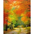 thumbnail image 2 of Cuadros Decorativos Kit de pintura al óleo de bosque de otoño por números pintura acrílica DIY sin marco (B1617) Tmvgtek embutido en tela, 2 of 9