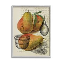 Stupell Industries Pear Fruit Harvest Illustration Vintage Text Passage, 16 x 20,Design by Daphne Polselli