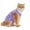 PP1, variant on Post Recovery Cat E Collar Alternative for Grooming Comfort Aftercare Soft Protective Wear for Cats Pet Apparel