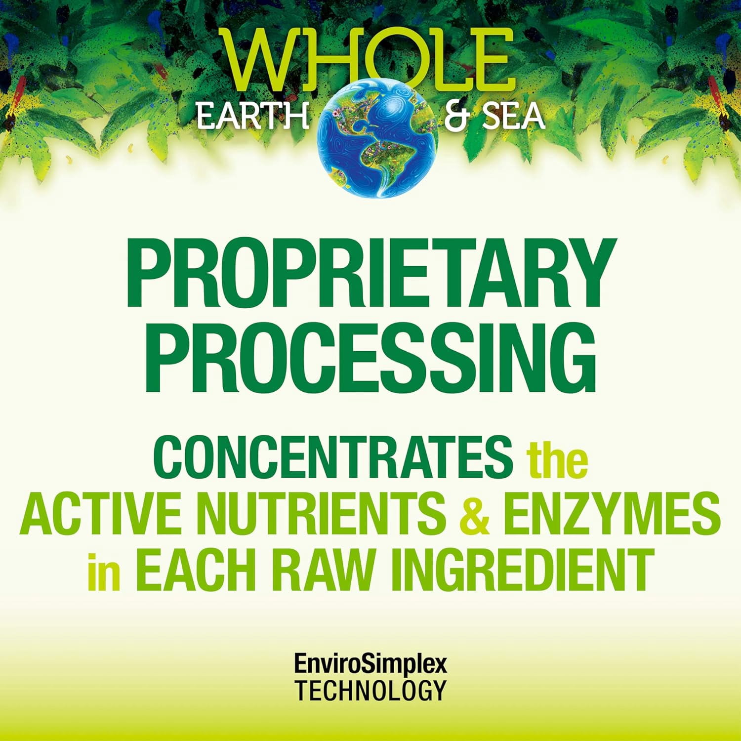 Natural Factors Whole Earth & Sea, Organic Fermented Protein & Greens, Vegan Whole Food Supplement, Vanilla Chai, 1 lb 7 Oz