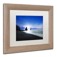 thumbnail image 4 of Trademark Fine Art 'Reynisdrangar Evening' Canvas Art by Philippe Sainte-Laudy, White Matte, Wood Frame, 4 of 4