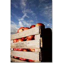 Trademark Fine Art "Orchard" Canvas Art by Jason Shaffer