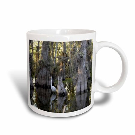 - 3dRose Everglades National Park - Great Egret in a Cypress Grove, Ceramic Mug, 15-ounce