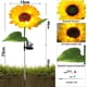 thumbnail image 2 of Luces solares de girasol para pasillo, luces decorativas para jardín, terraza, césped, patio, porche, pasarela (paquete de 2) Adepaton Lamparas de Patio, 2 of 5
