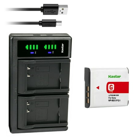 Kastar 1-Pack NP-BG1 Battery and LTD2 USB Charger Replacement for Sony HDR-GW55  HDR-GW77  Cyber-shot DSC-H3  Cyber-shot DSC-H7  Cyber-shot DSC-H9  Cyber-shot DSC-H10  Cyber-shot DSC-H20 Camera