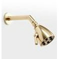 thumbnail image 3 of Fire Hydrant Presidental 6 Jet 2-15/16-Inch Round Adjustable Jet Spray Brass Shower Head in Polished Brass, 3 of 6