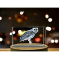 thumbnail image 4 of Exquisite Australian Masked Owl Crystal Beautiful Gift, 4 of 7