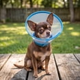 thumbnail image 5 of Transparent Pet Cone Collar, Adjustable Protective Elizabethan Collar, Anti‑Lick Wound Healing Cone For Small Medium Dogs And Cats, 5 of 5