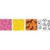Petflex Flexible Cohesive Bandage Farm Print Disp