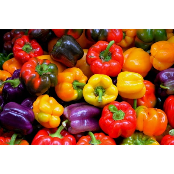 Rainbow Sweet Bell Pepper Mix - 50 Seeds - Grow Delicious Bell Peppers