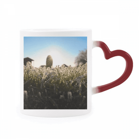 

Science Nature Scenery Sunshine Green Forestry Heat Sensitive Mug Red Color Changing Stoneware Cup