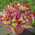 thumbnail image 4 of Flores artificiales ShareConn para decoración de exteriores, 24 unidades, 4 of 9