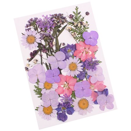 New Pressed Flower Mixed Organic Natural Dried Flowers Diy Art Floral Decors Collection Gift - 