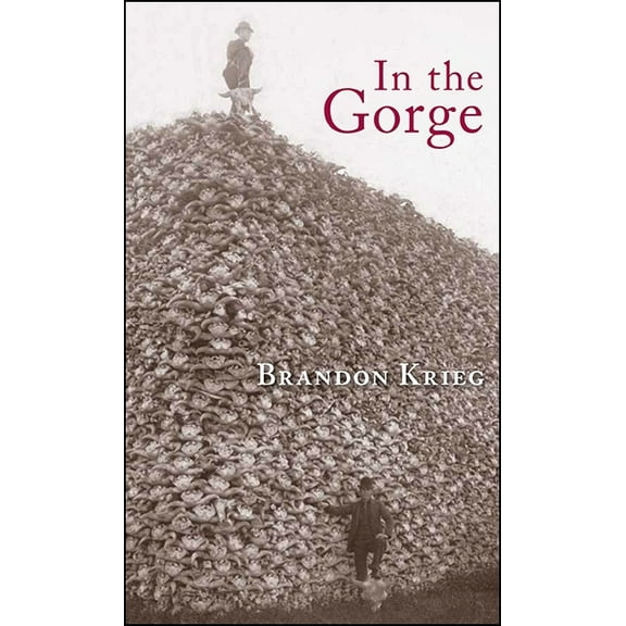Codhill Press: In the Gorge: Poems (Paperback)