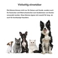 thumbnail image 5 of Peine antipulgas para perros y gatos, peine profesional para perros, peine para mascotas para eliminar pulgas, peine para piojos, peine para polvo con dientes metálicos redondeados para un cuidado, 5 of 5