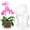 S, variant on pluokvzr 5pcs Orchid Pot for Repotting 4/5/6 Inch Transparent Slotted Orchid Pots with Holes and Saucers Sturdy Plastic Orchid Pot Breathable Flower Plant Pot Clear Nursery Pots for Orchids