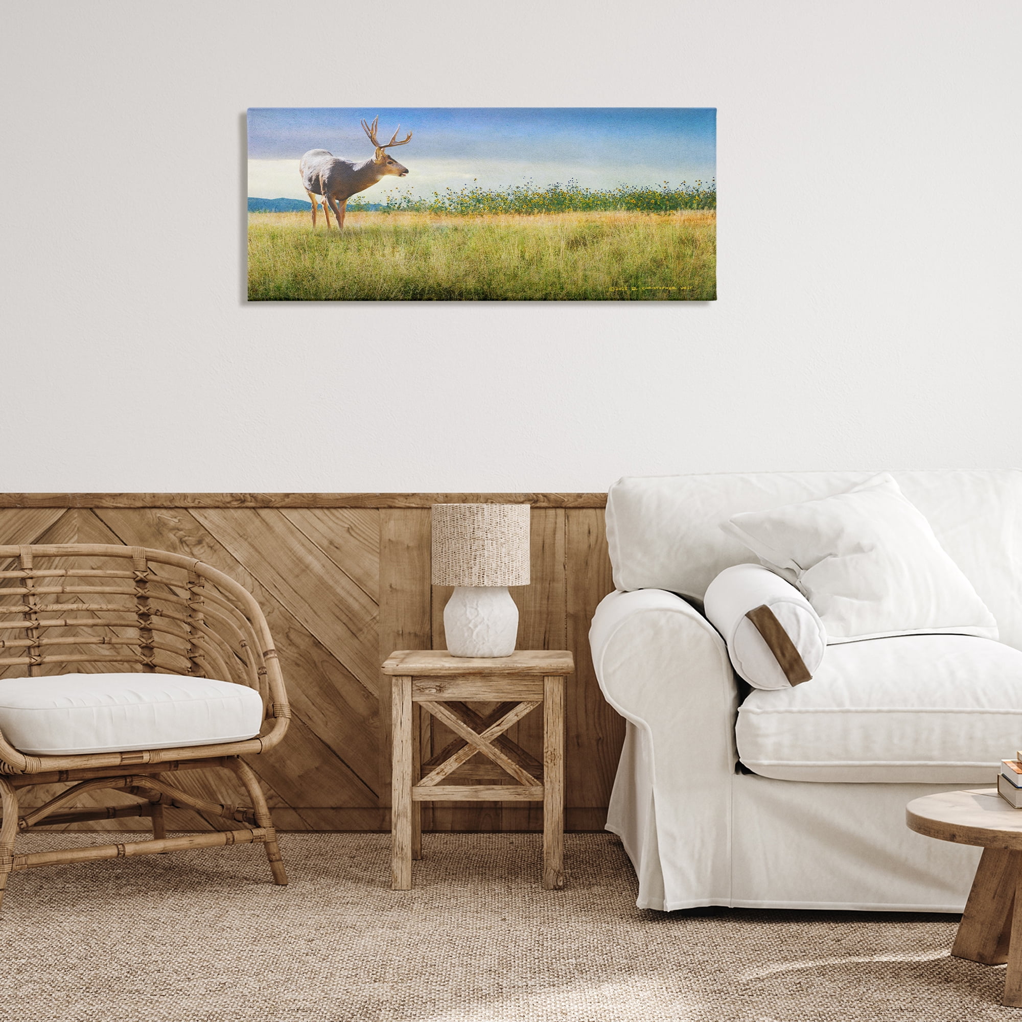 Stupell Industries Buck Deer in Field Landscape & Nature Photography Wrapped Canvas Art Print Wall Art, 40 x 17