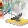 thumbnail image 3 of Jouet, Excellente Qualité Confortable à Tenir Simple à Utiliser Néotérique pour Intérieur, 3 of 8