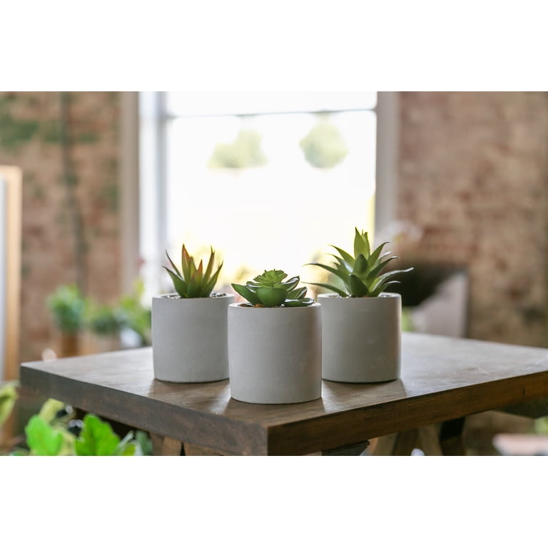 extra large pots for plants Cloche Extra Large Planter main image 0