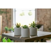 Mainstays 3-Piece Succulent Set in Gray Cement Planters