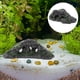 thumbnail image 4 of Plataforma para tanque de tortugas Plataforma para tomar el sol para tortugas Diseño de terrario para reptiles Plataforma para tanque de tortugas, 4 of 4