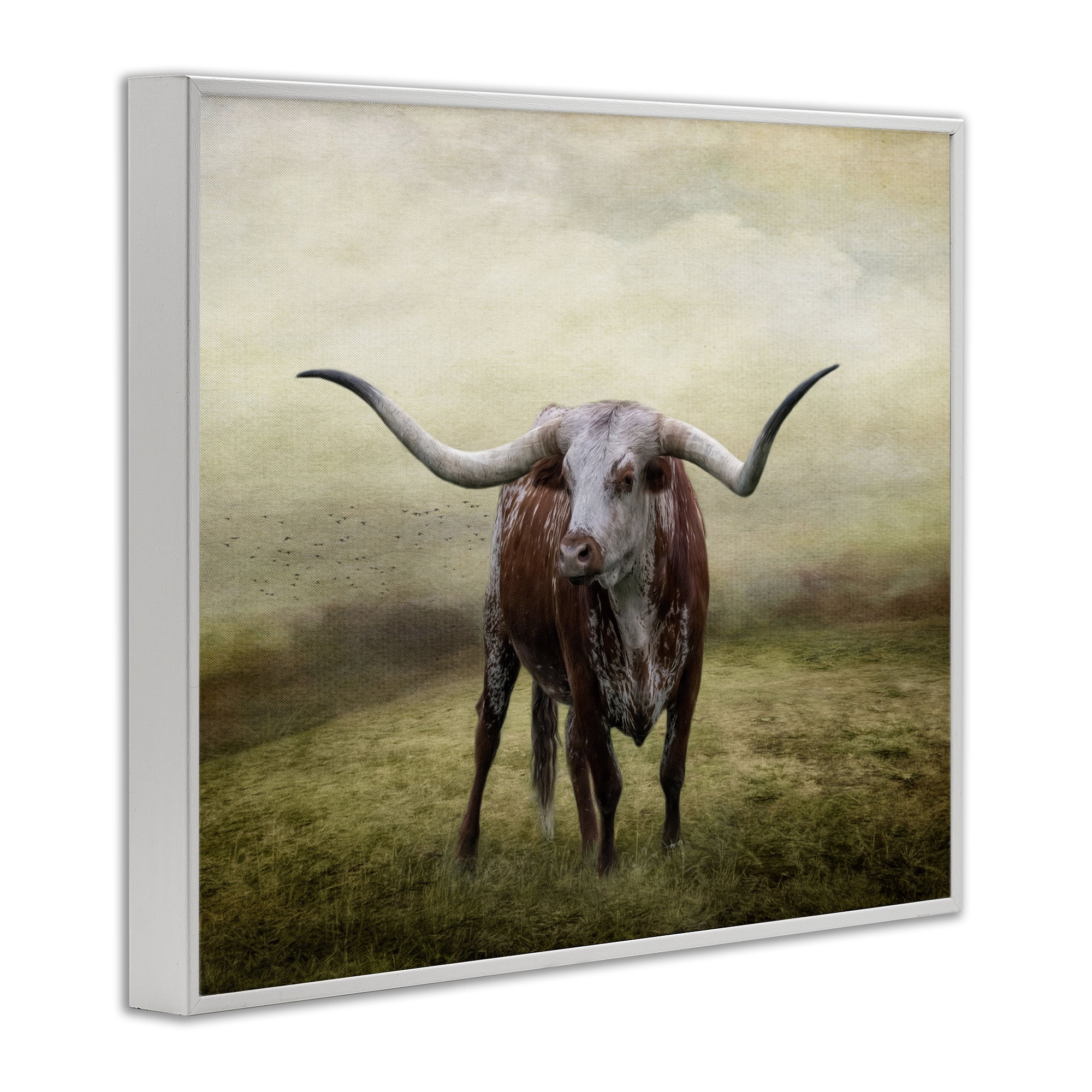 Stupell Industries Pride Of The Longhorn Animals & Insects Photography White Framed Art Print Wall Art, 14 x 11