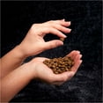 thumbnail image 5 of Crave Grain Free Adult Dry Dog Food With Protein From Beef, 22 Lb. Bag, 5 of 11