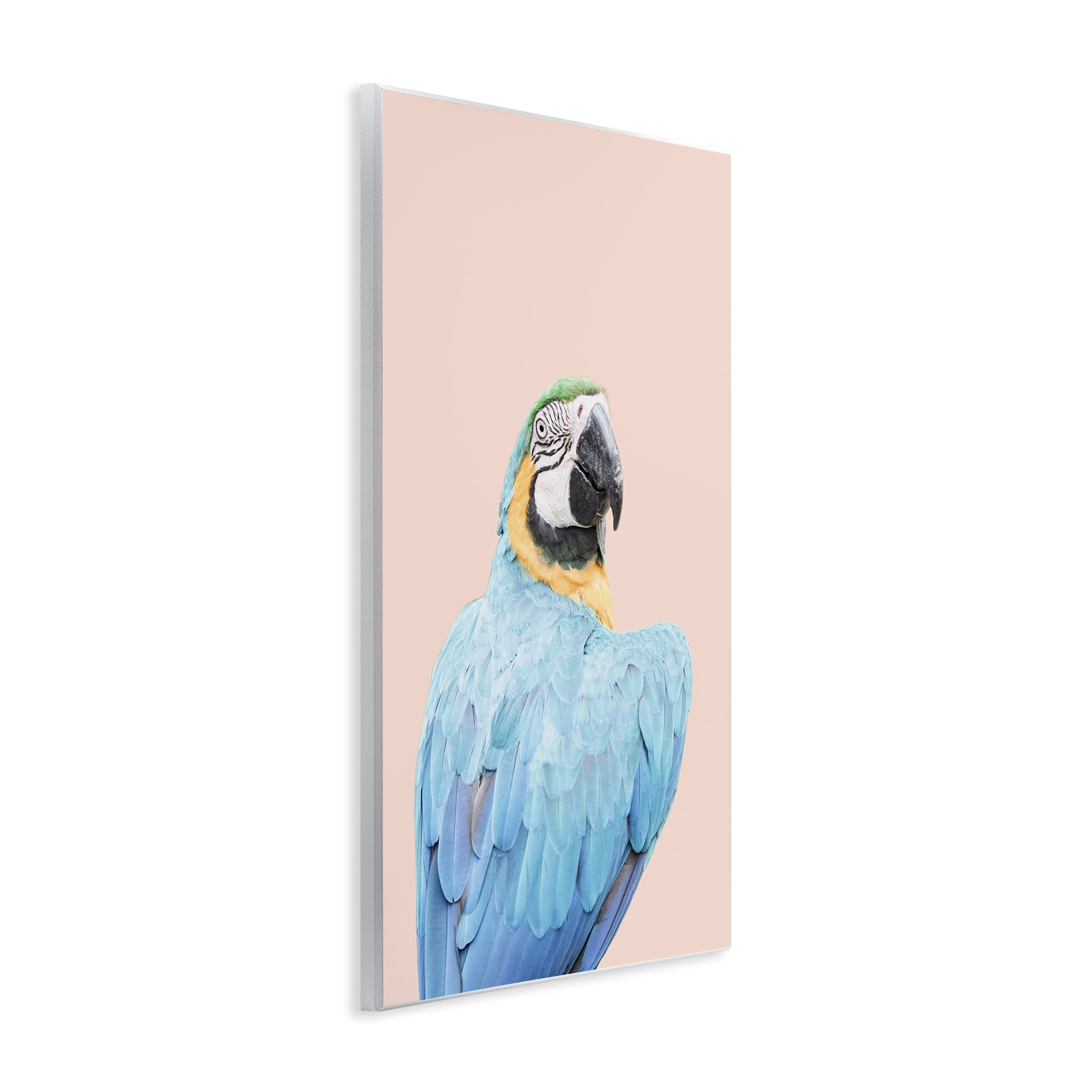 Stupell Industries Blue Ara Macaw Animals Painting Unframed Art Print Wall Art, 10 x 15
