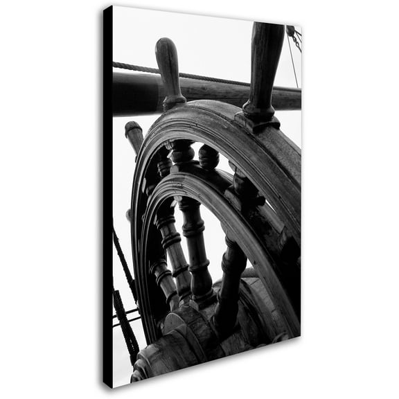 Trademark Fine Art "Masterful Guidance" Canvas Art by Monica Fleet