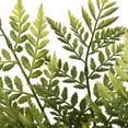 thumbnail image 2 of Vickerman 17" Green Rabbit Foot Fern Bush 2/Pk - FQ180501, 2 of 2