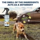 thumbnail image 3 of Dog Repellent Spray, Tire Protection Portable and Effective Animal Repellent, 3 of 5