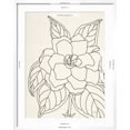 thumbnail image 5 of Art.com Gardenia Line Drawing Crop Art Print by Moira Hershey, White Frame Wall Art, 23" x 29", 5 of 5