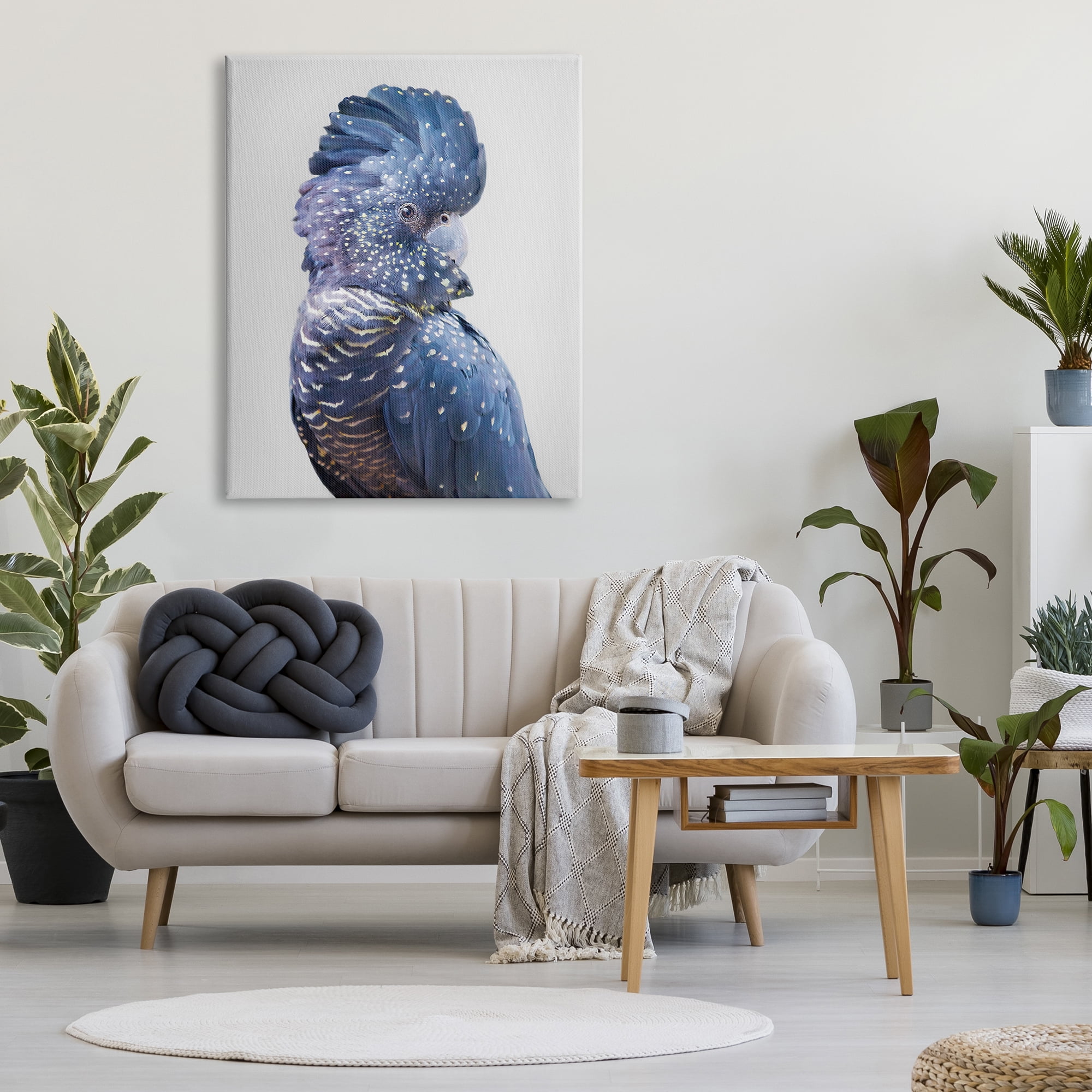 Stupell Industries Grey Cockatoo Portrait Animals & Insects Photography Gallery Wrapped Canvas Print Wall Art, 36 x 48
