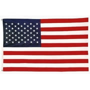 United States of America Flag 2' x 3'