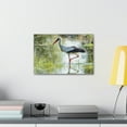 thumbnail image 4 of Stork Hunting Stork on Hunt Print Animal Wall Art Wildlife Canvas Prints Wall Art Ready to Hang Unframed, 4 of 18