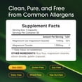 thumbnail image 4 of NatureBell Magnesium Taurate - 240 Capsules - 1,500mg High Absorption Chelated Formula - With Amino Acid Taurine - Heart Health, Nervous System, Muscle & Bone Health Support - 80 Servings, 4 of 8