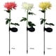 thumbnail image 5 of Lampara 2 uds LED luz Solar crisantemo césped estaca lámparas decoración de jardín (rosa) Likrtyny Lámpara, 5 of 9