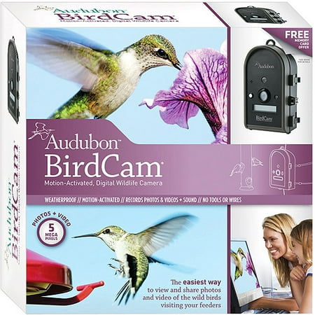 audubon walmart