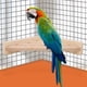 thumbnail image 5 of HEEPDD La Jaula de pájaros se posa, la Plataforma de Madera de ángulo Recto, los Juguetes de masticación de Aves, la Pata Que muele el Juguete para Mascotas Periquito, cacatúa Canario Khall CW03581, 5 of 6