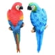 thumbnail image 4 of 2 figuras de loro para jardín, decoración de pared y árbol, adornos de animales Azul rojo, 4 of 9