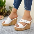 thumbnail image 3 of SACFOF Womens platform Beach Slippers Wedge Heel Shoes Slip on Cork Sandals Summer High Heeled for Women Sandals Flip Flops, 3 of 6